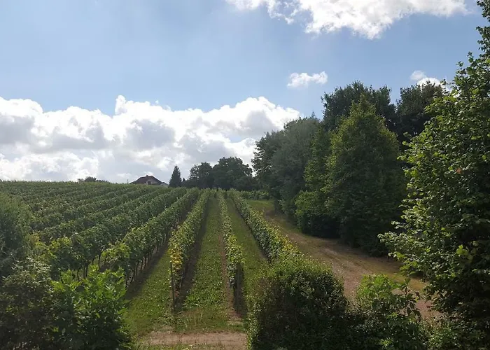 Naehe Mainz - Ferienwohnung - Appartment Breivogel In Woerrstadt