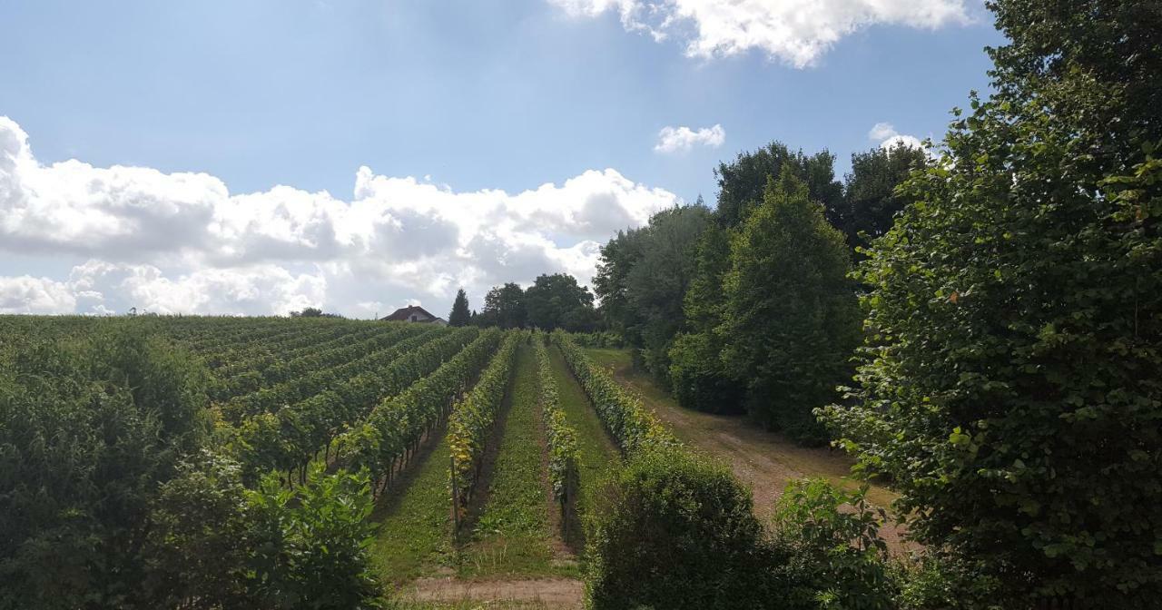 Naehe Mainz - - Breivogel In Woerrstadt