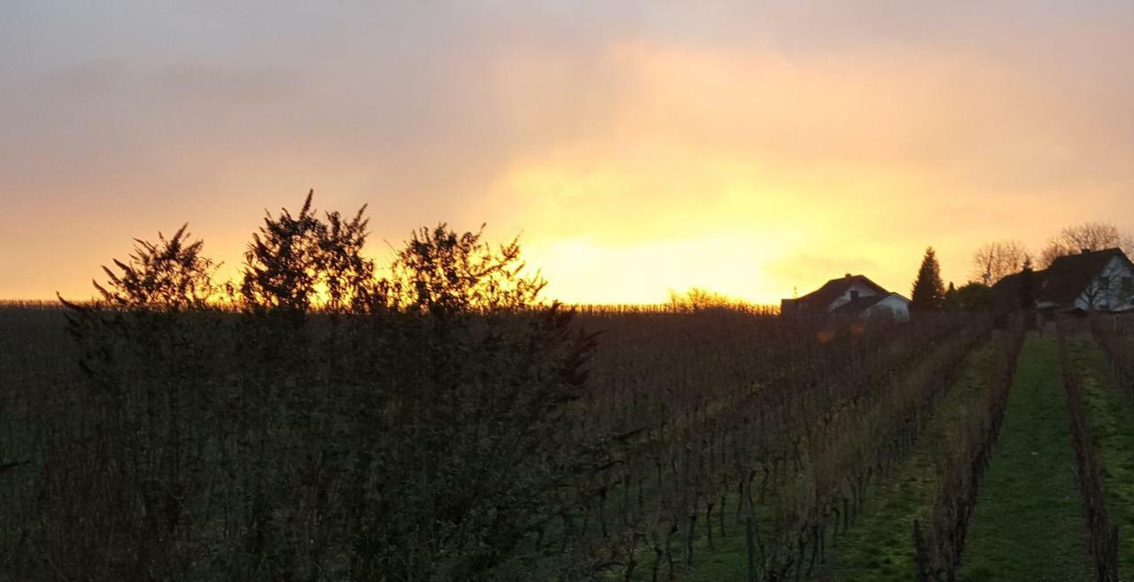 Naehe Mainz - - Breivogel In Woerrstadt